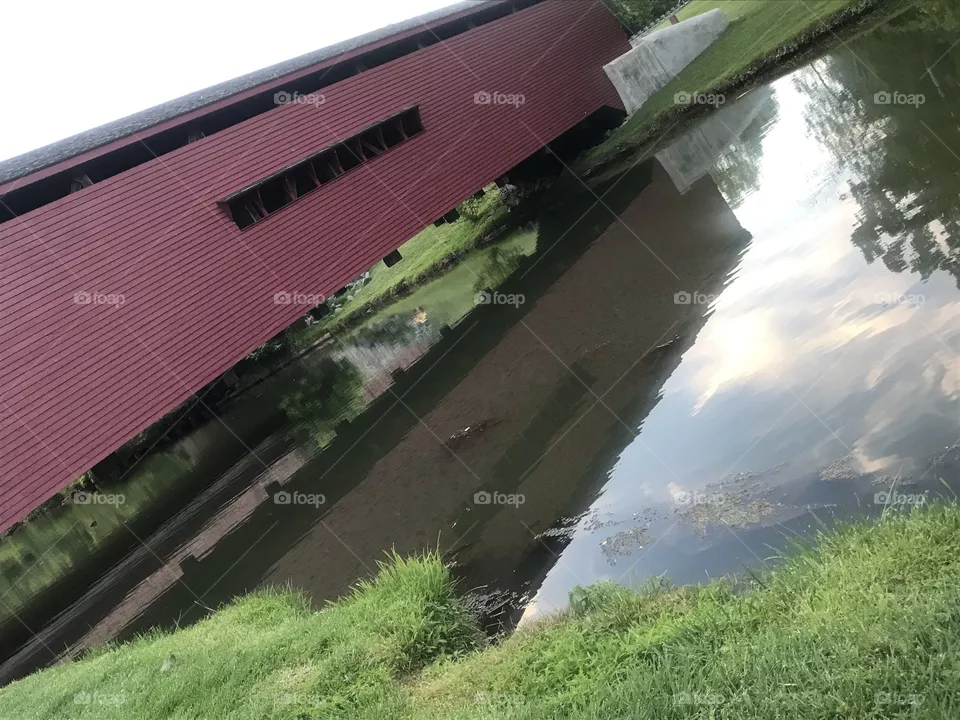Reflections of 