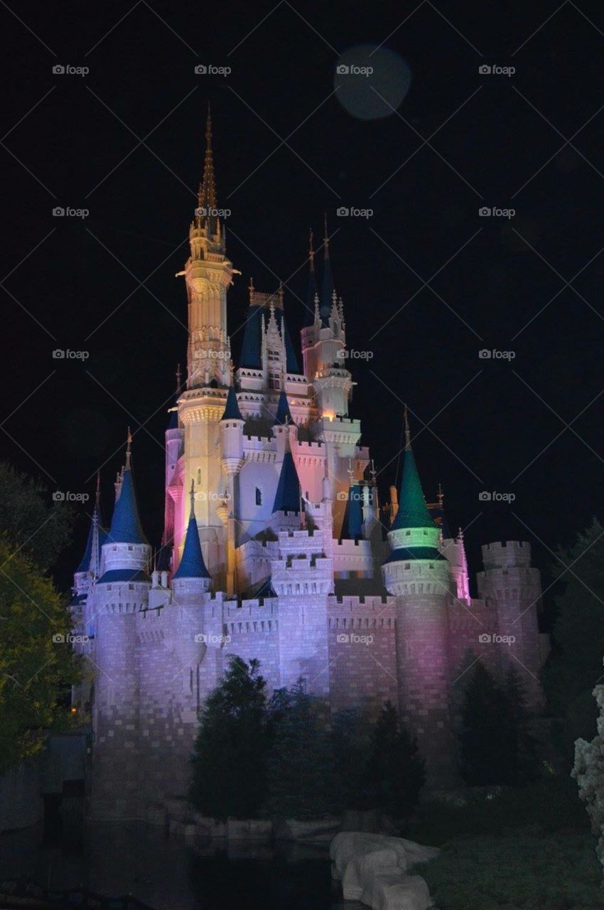 Disney Castle lit up