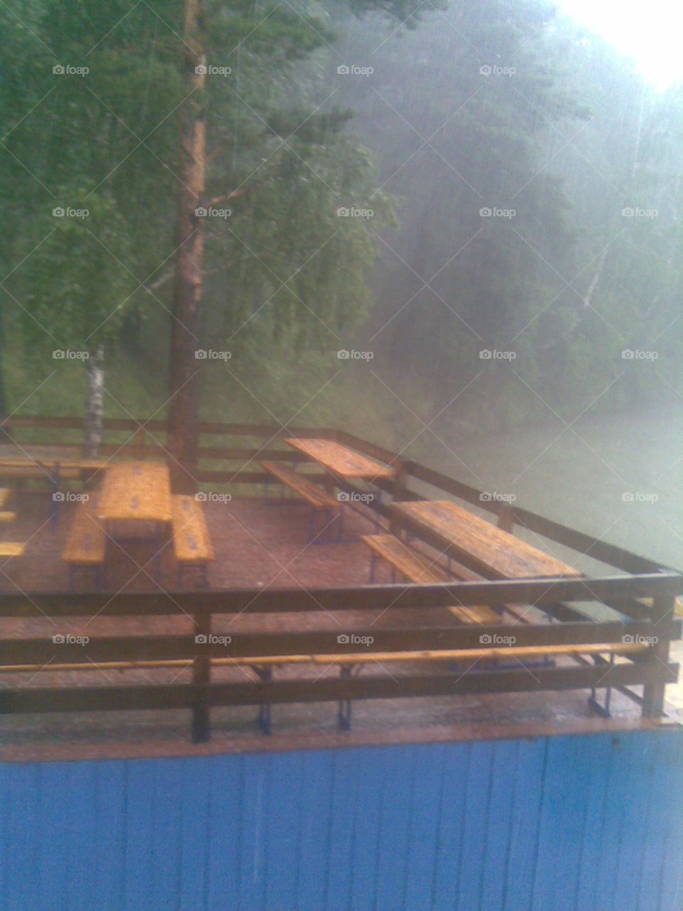 ffotomir дерево трава вода озёра дождь стол скамьи