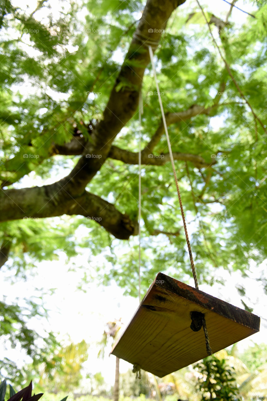 View looking up from under a tree swing