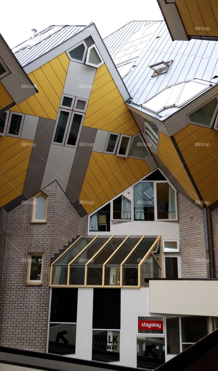 box houses in Rotterdam