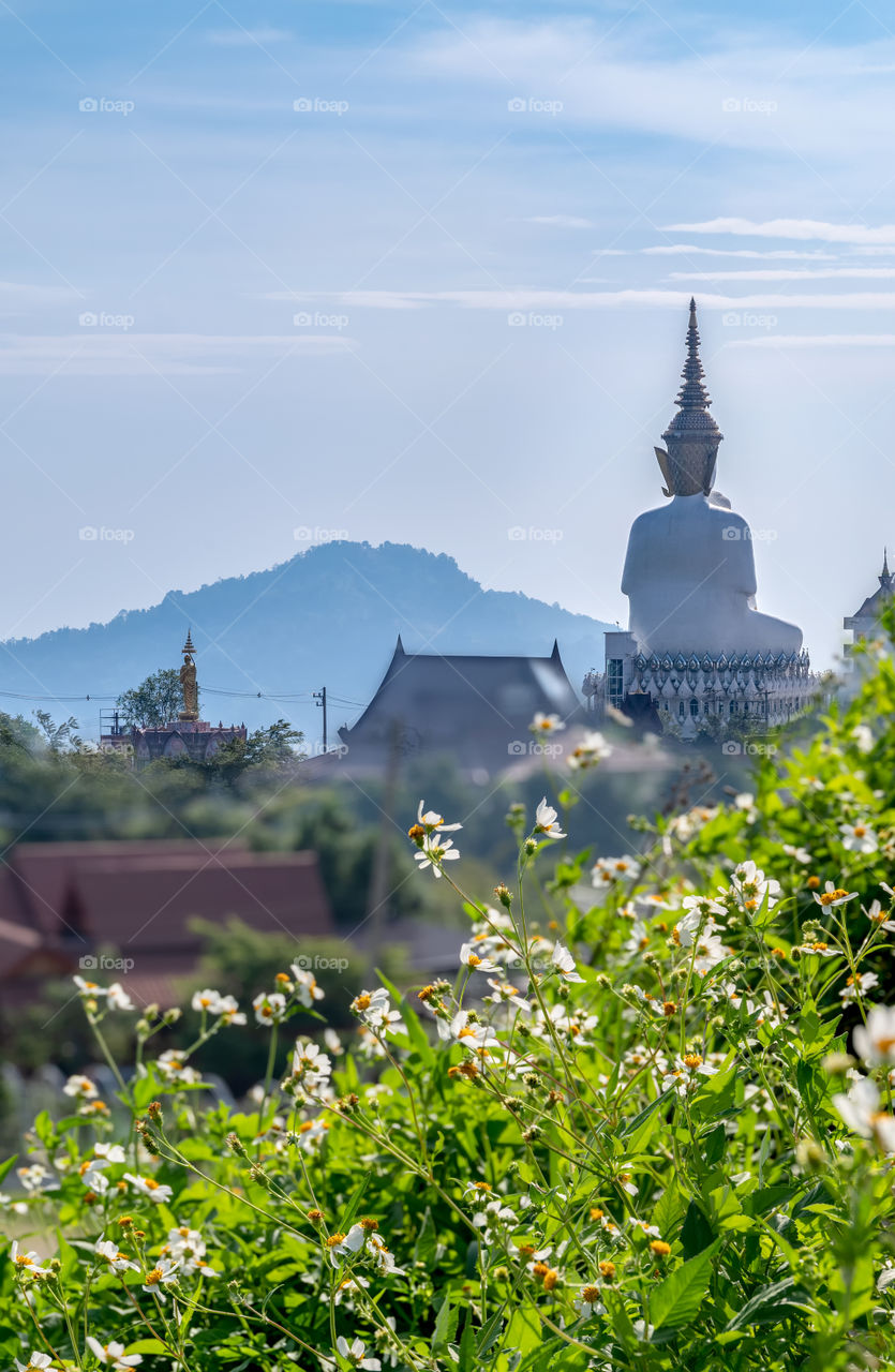 Grass field background of big white buddha in Thailand