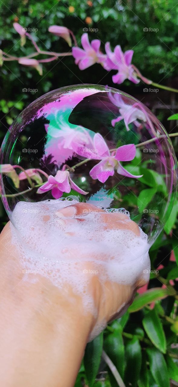 soap bubble