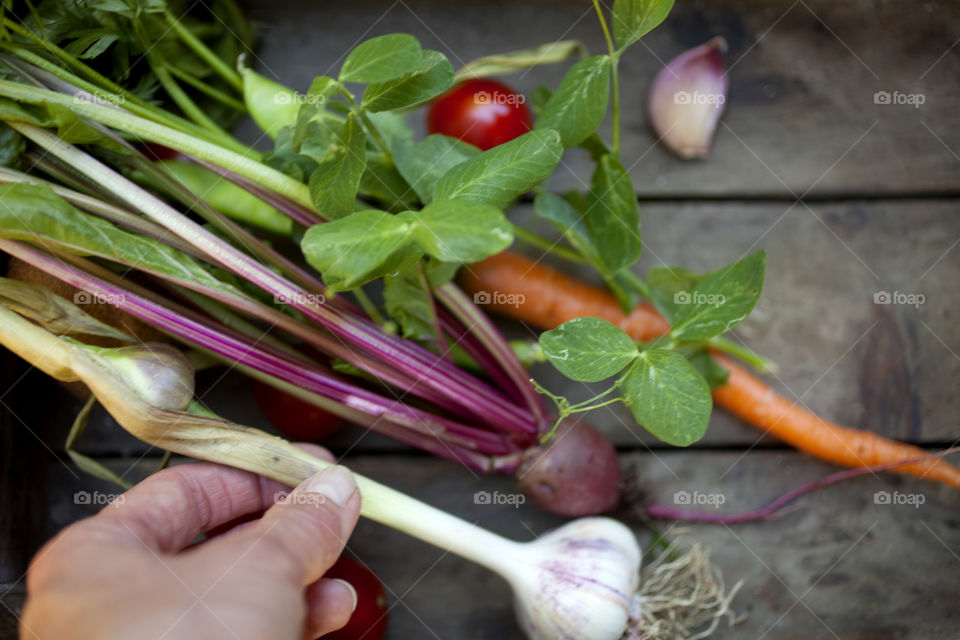 Harvest fr.o.m. the garden tomatoes, Garlic, beetroot, carrot, sugarsnaps