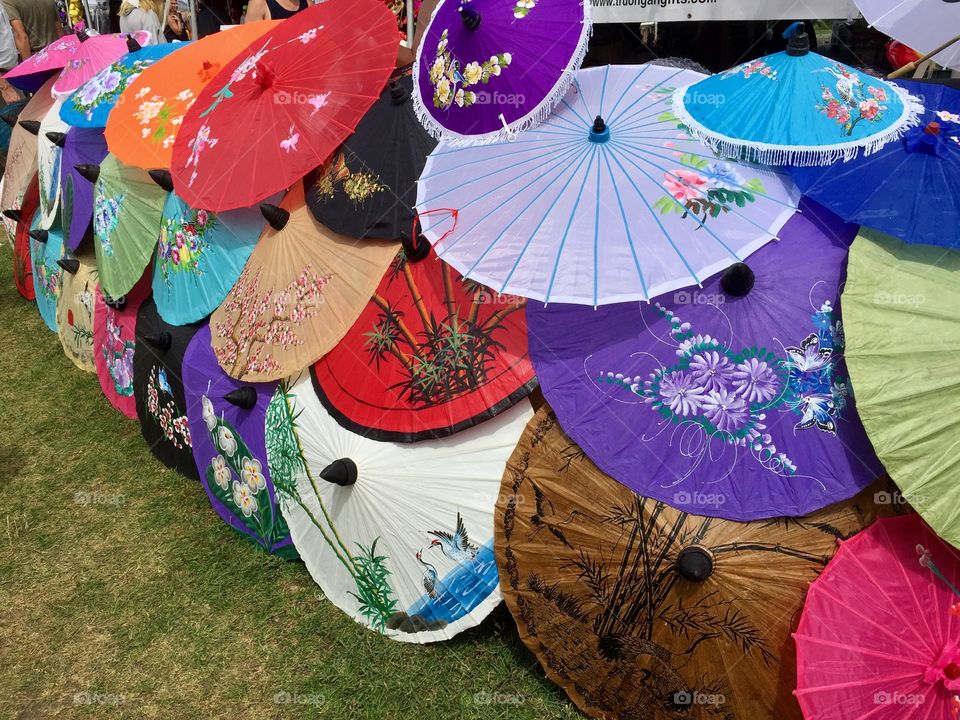 Vibrant umbrellas 