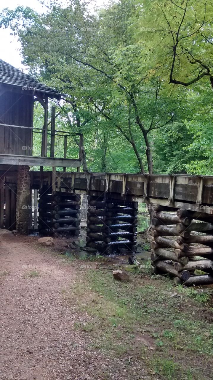 bridge at cabin