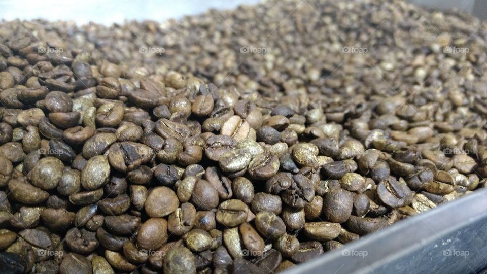 Brazilian coffee beans l