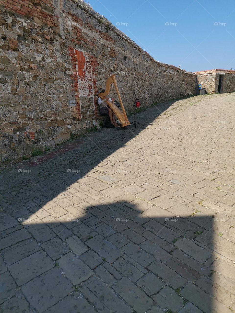 playing in the shades