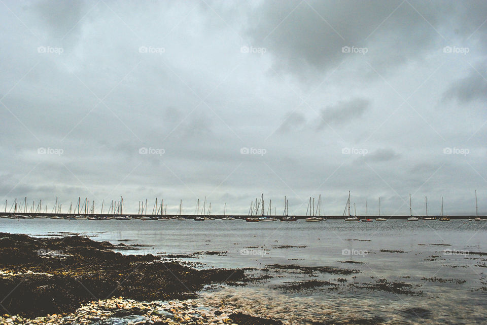 Boats in the Harbor 