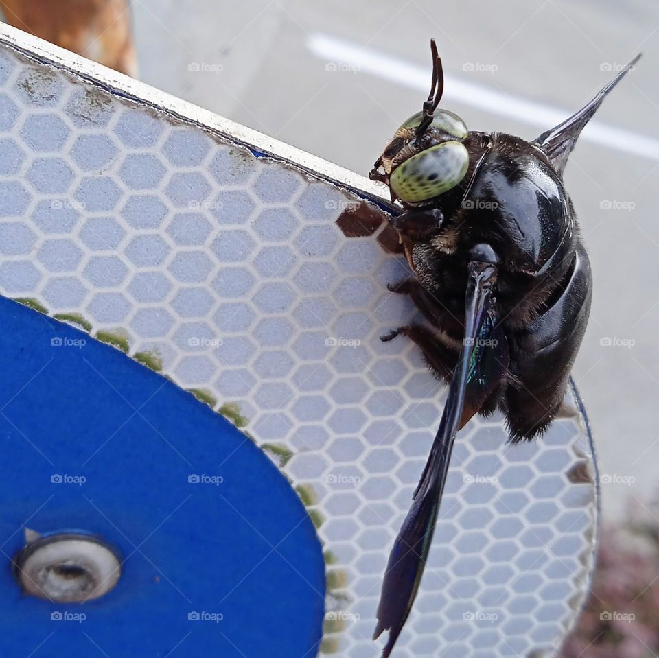 Take a rest on the signboard