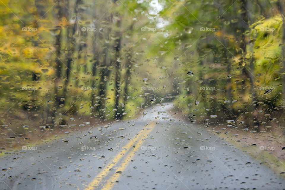 Road seen through a Rainy Windshield 