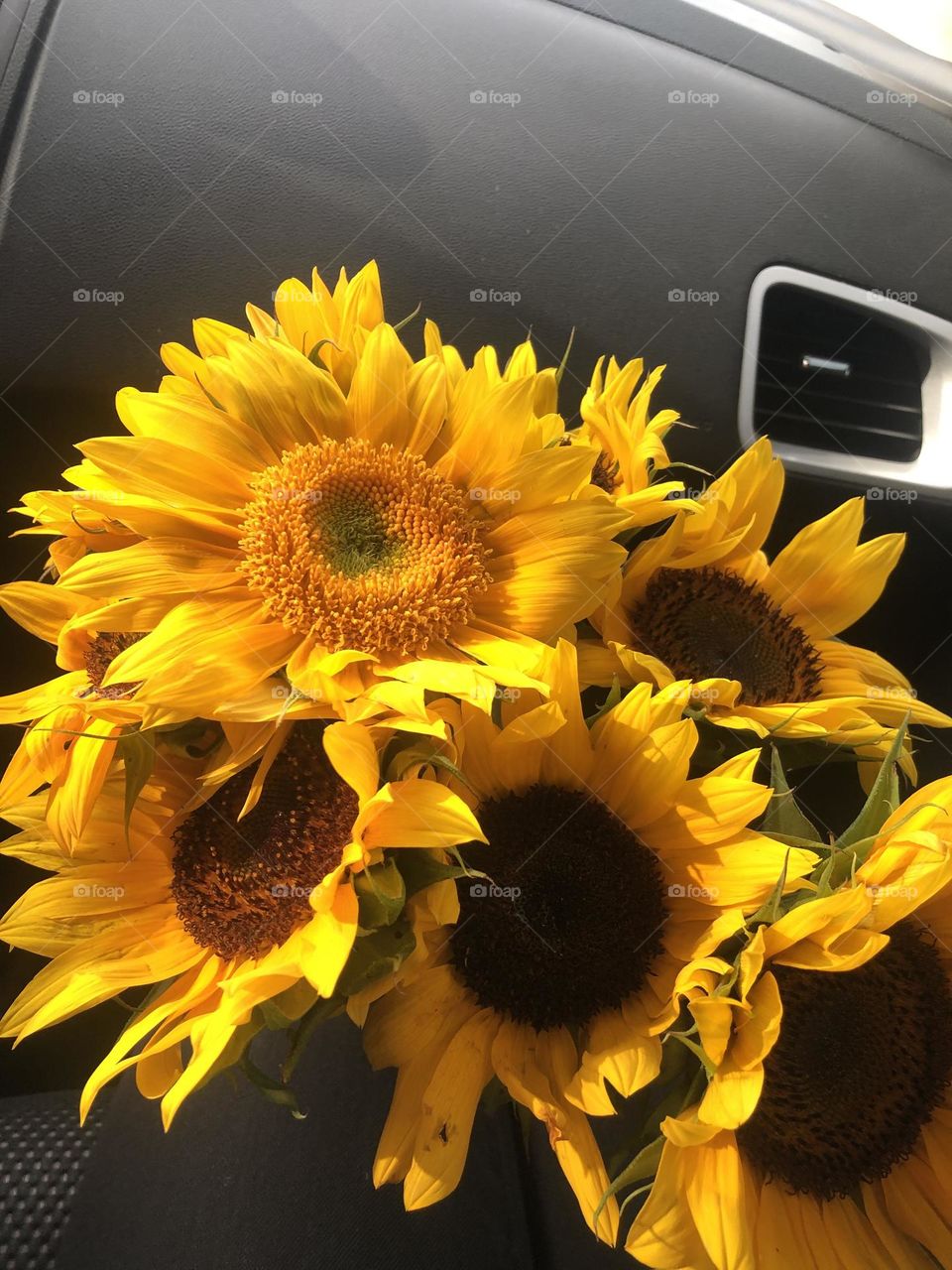 Cute sunflowers 🌻