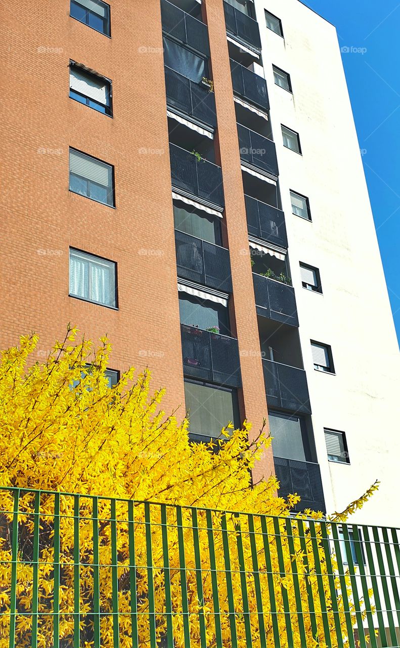 Modern building in district of Milan