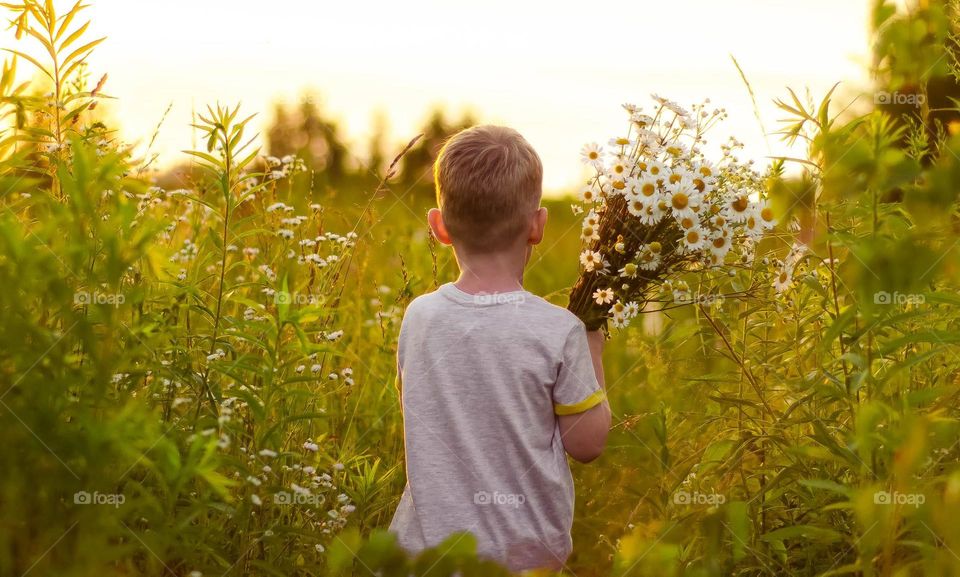 A little boy with a big bouquet of wild flowers in the rays of the sunset.