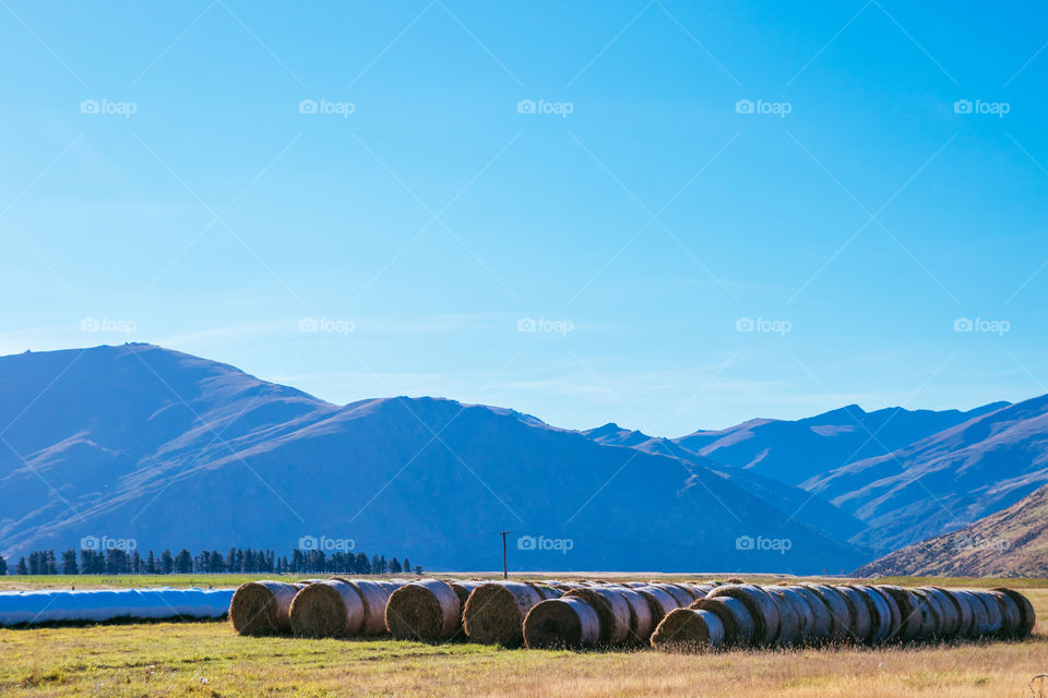 Landscape, No Person, Nature, Wood, Mountain