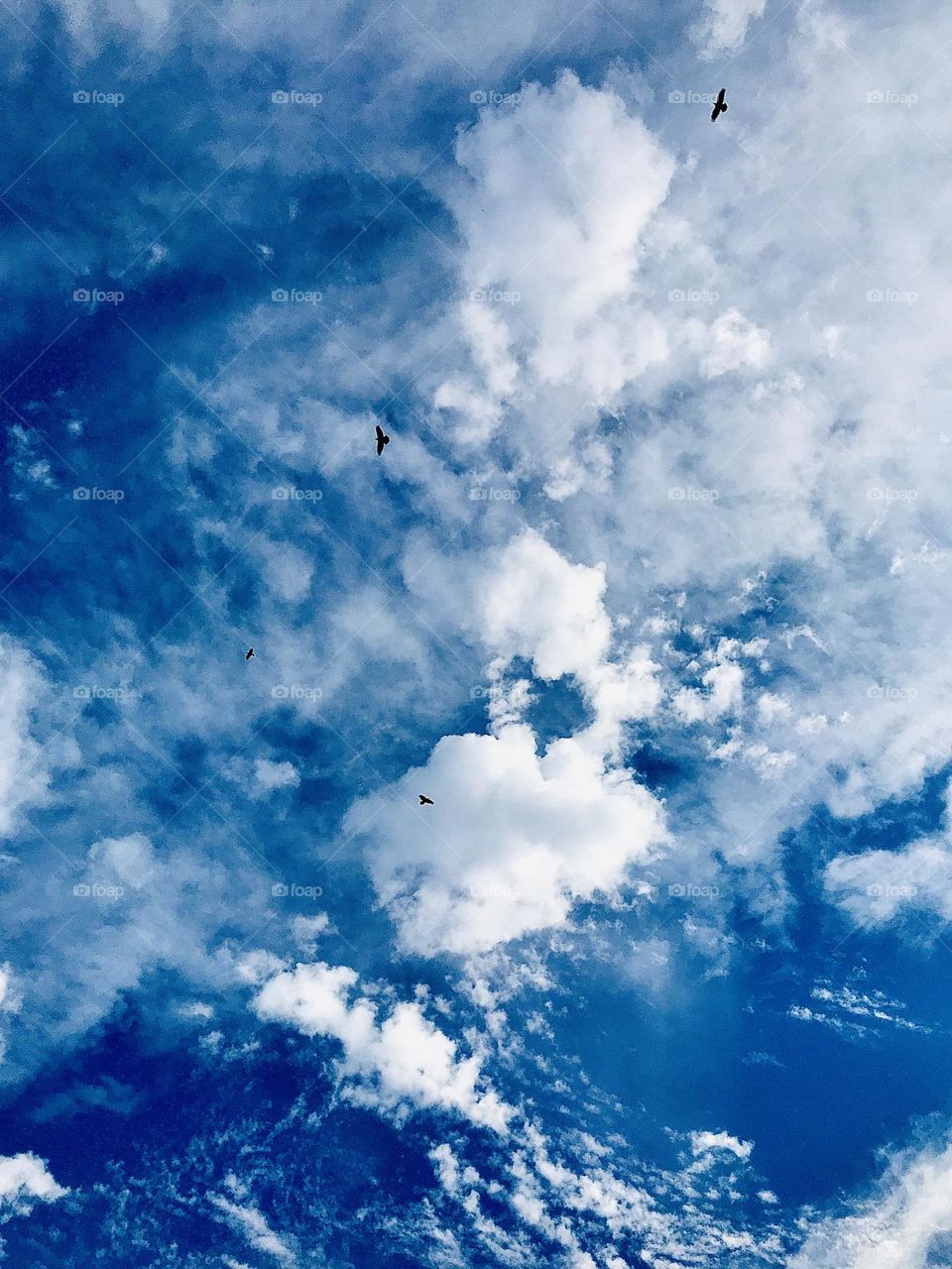 Clouds Ocean in the Sky