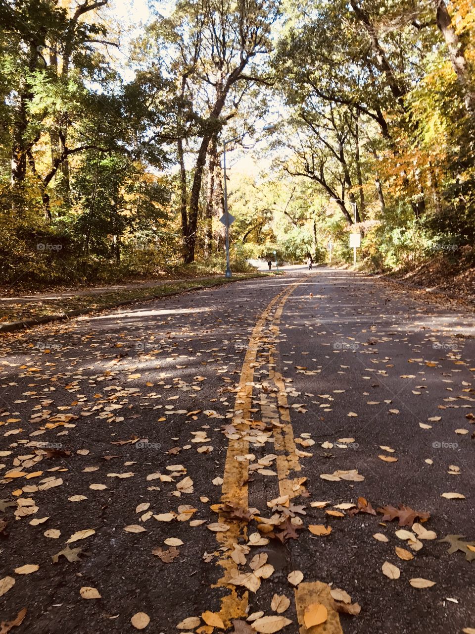 Empty road fall