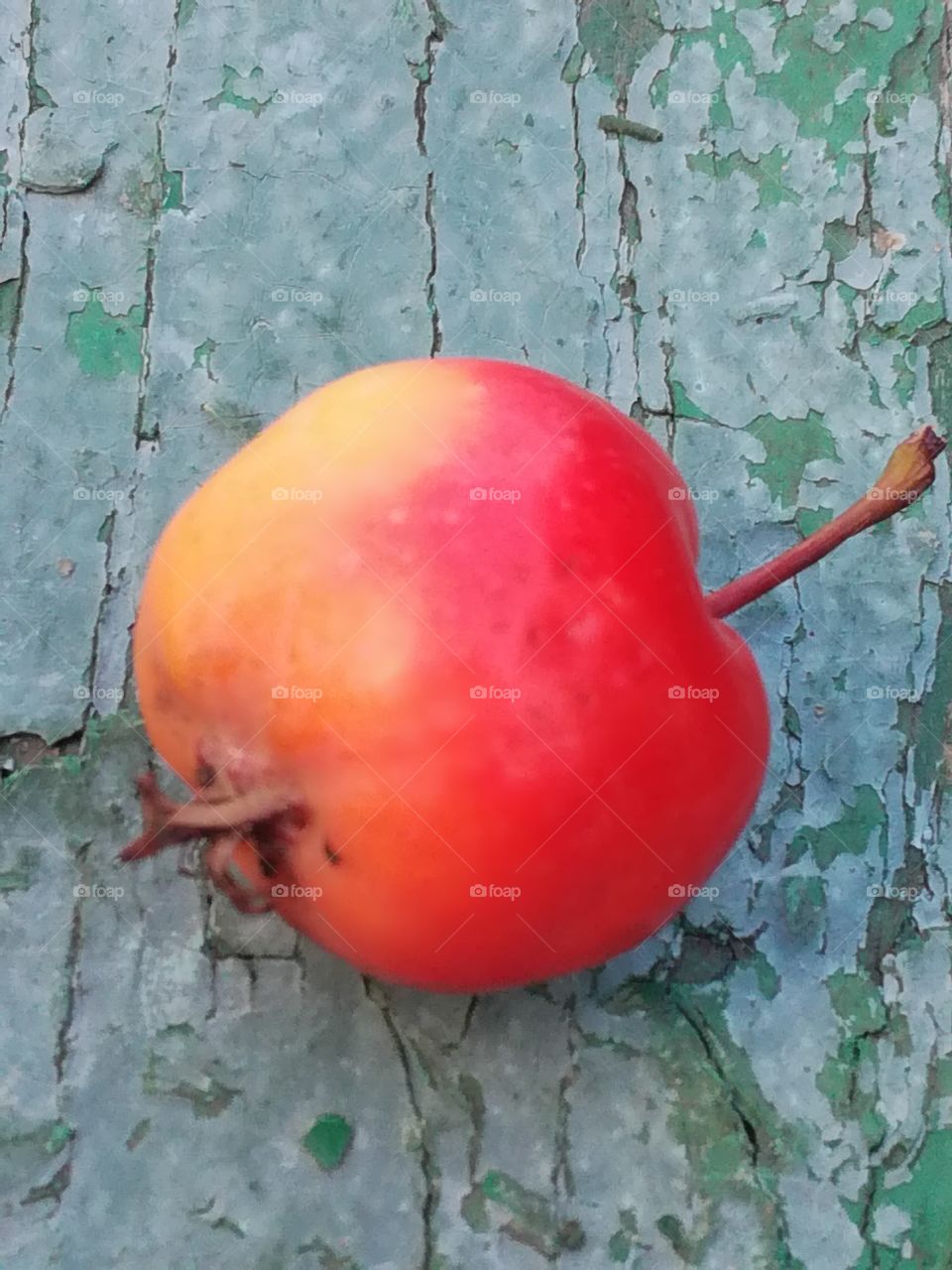 Small red apple 2