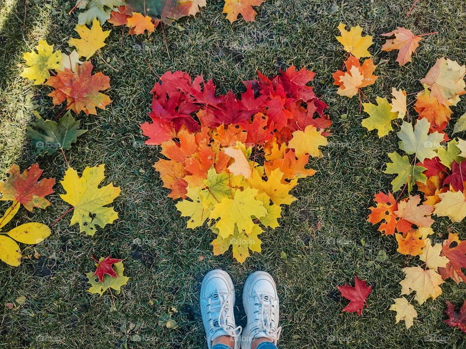 colored autumn leaves in a heart shape