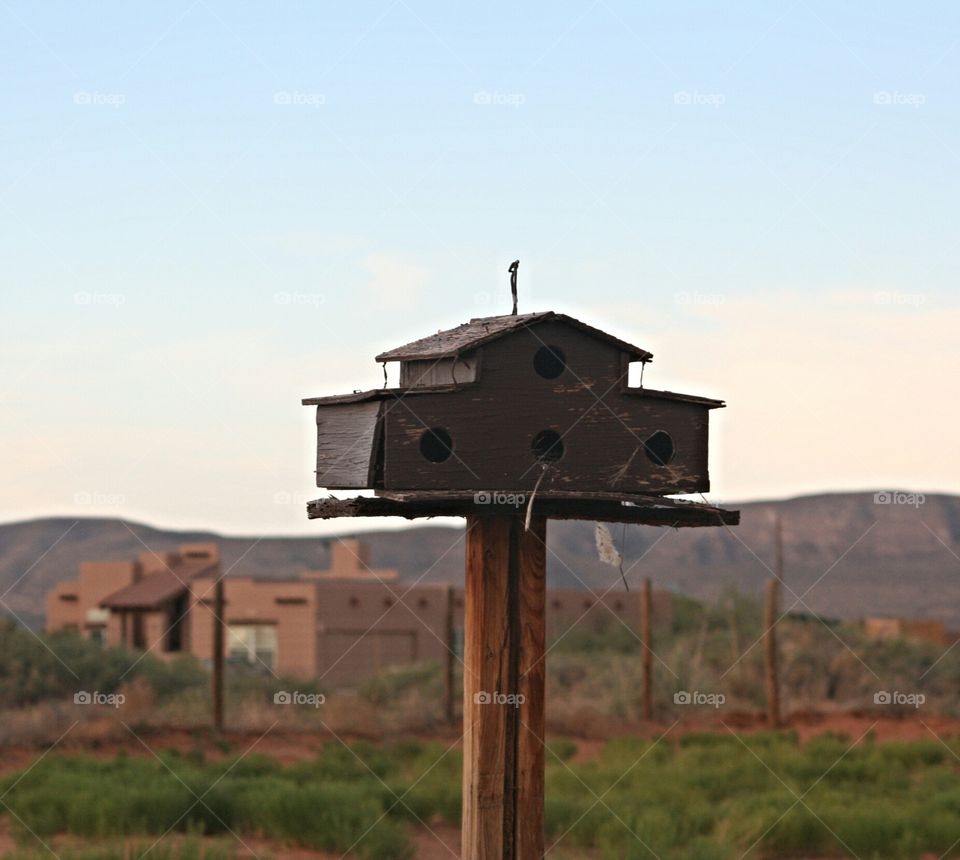 desert bird house