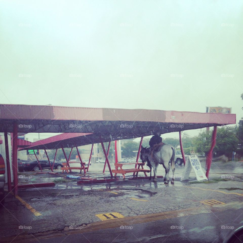 A man and his horse waiting out the rain in the city 