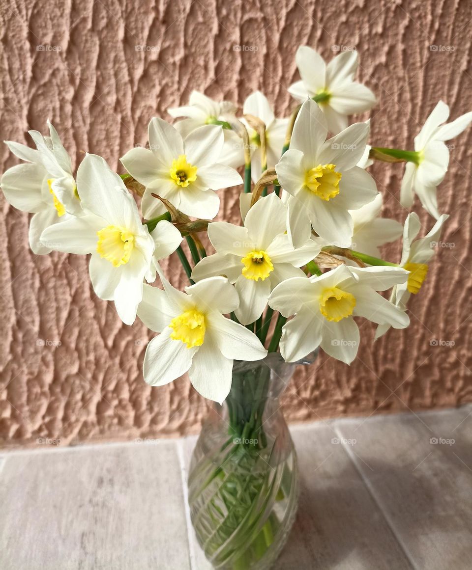 spring flowers in vase on a wall background