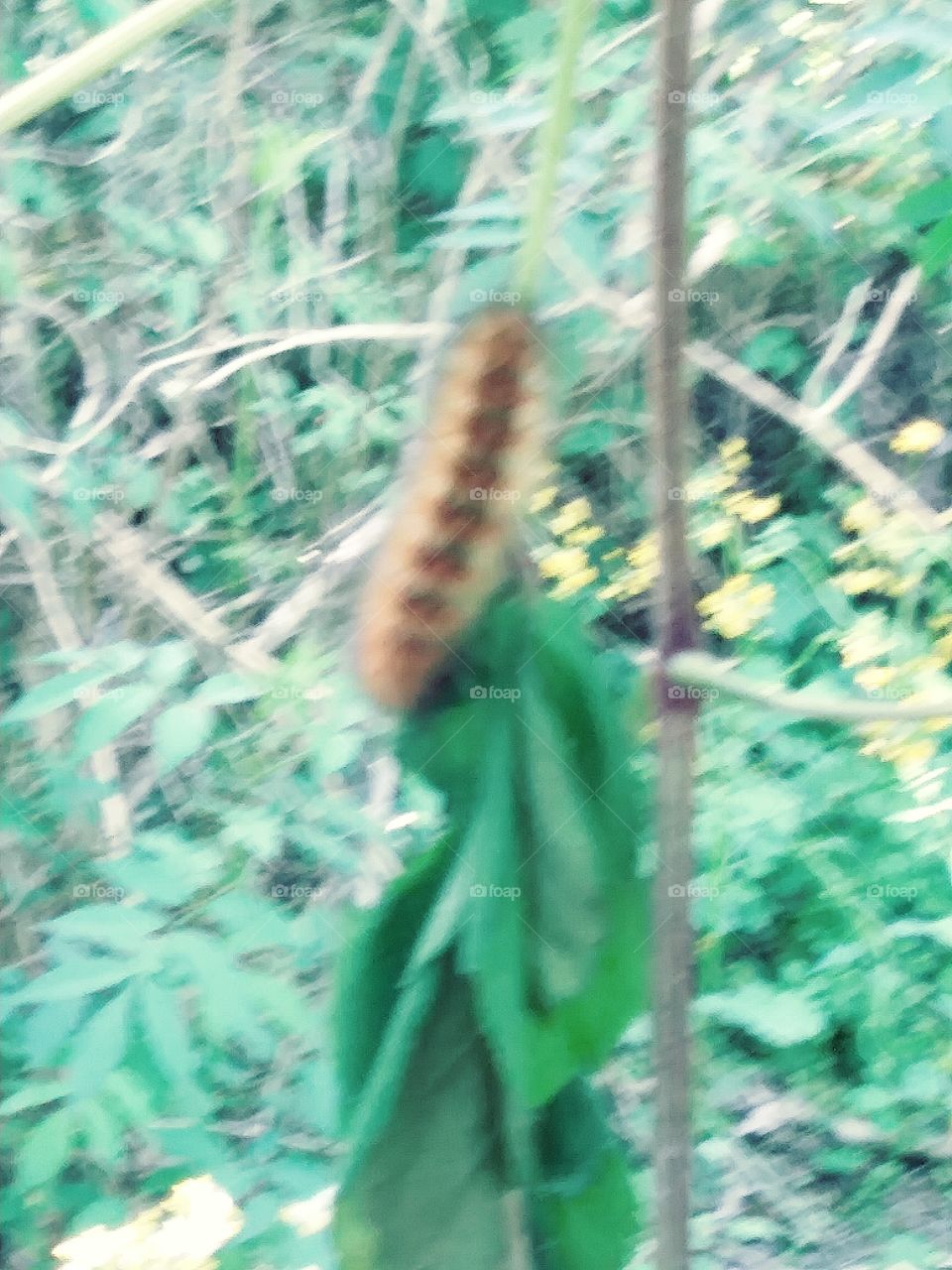 Minding his Business