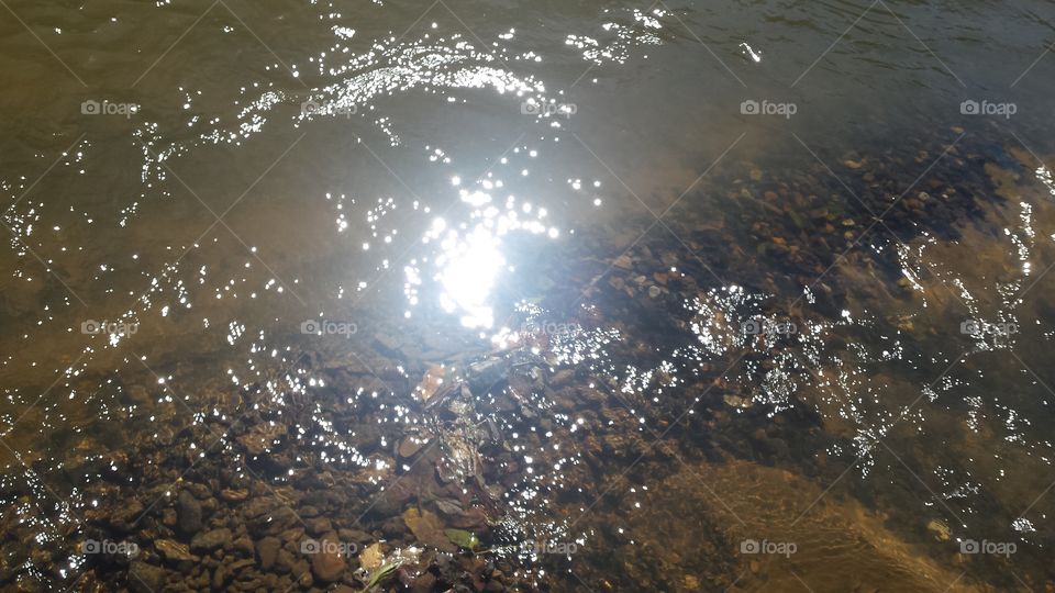 Shiny Water