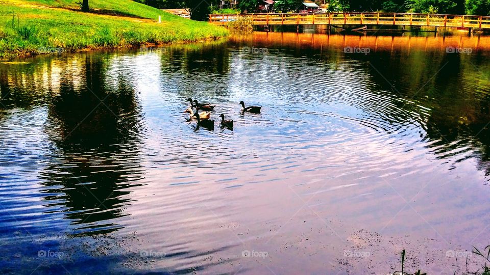 autumn rain reflections