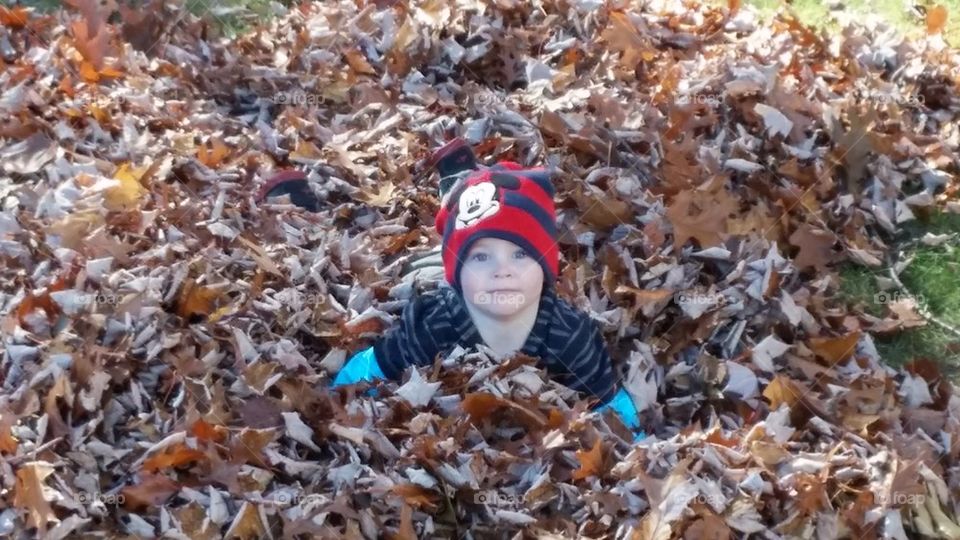 playing in the leaves 