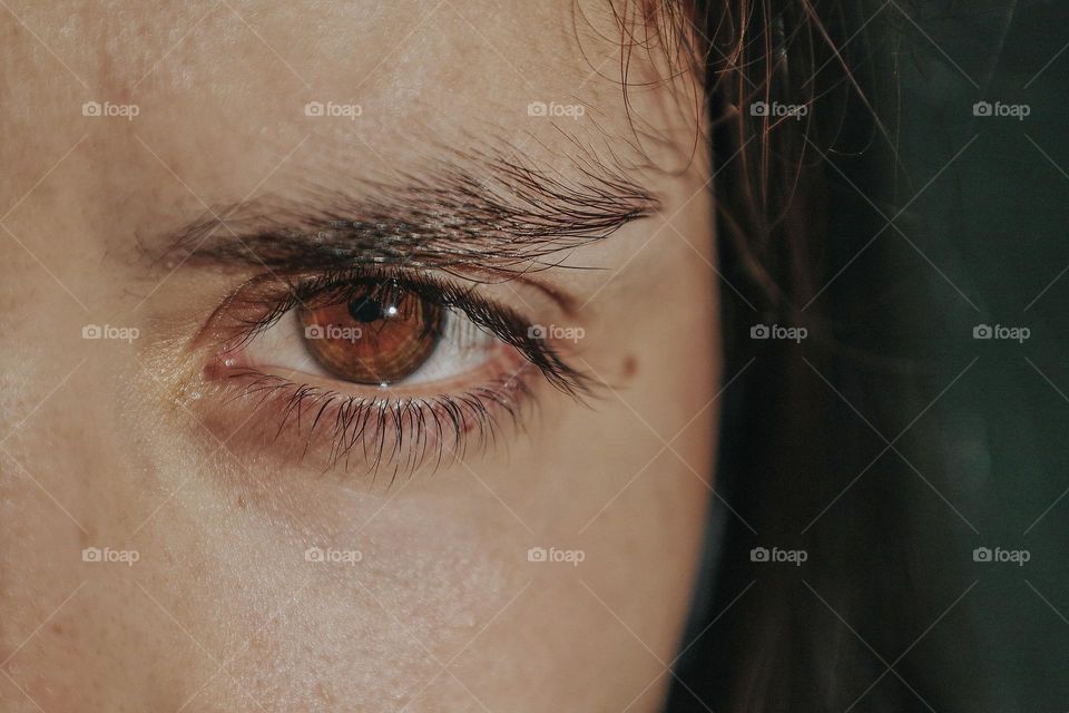 Close up of a human eye