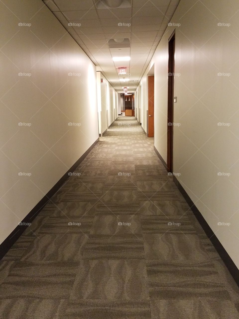 The Never Ending Hallway