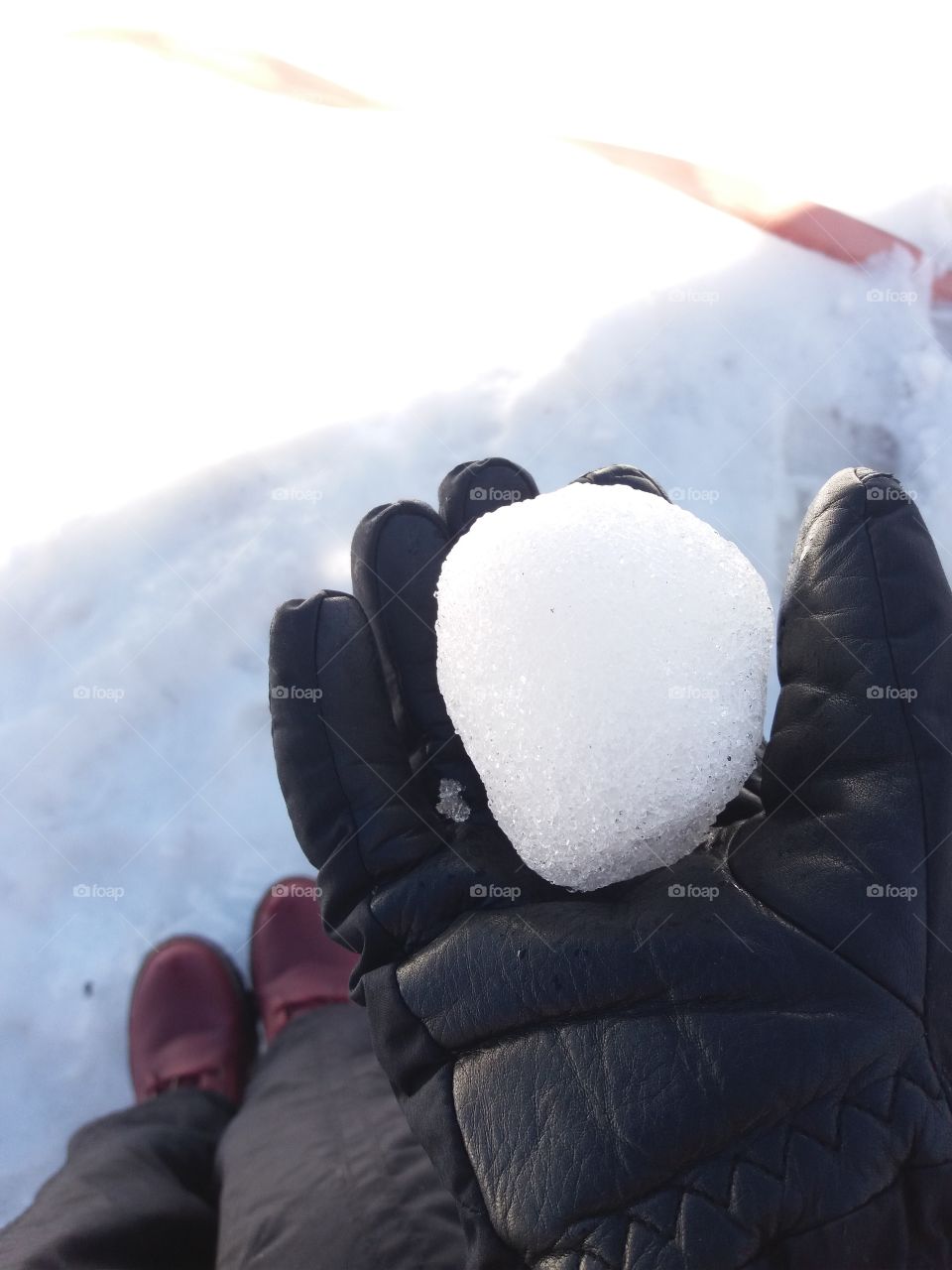 snow in black globe