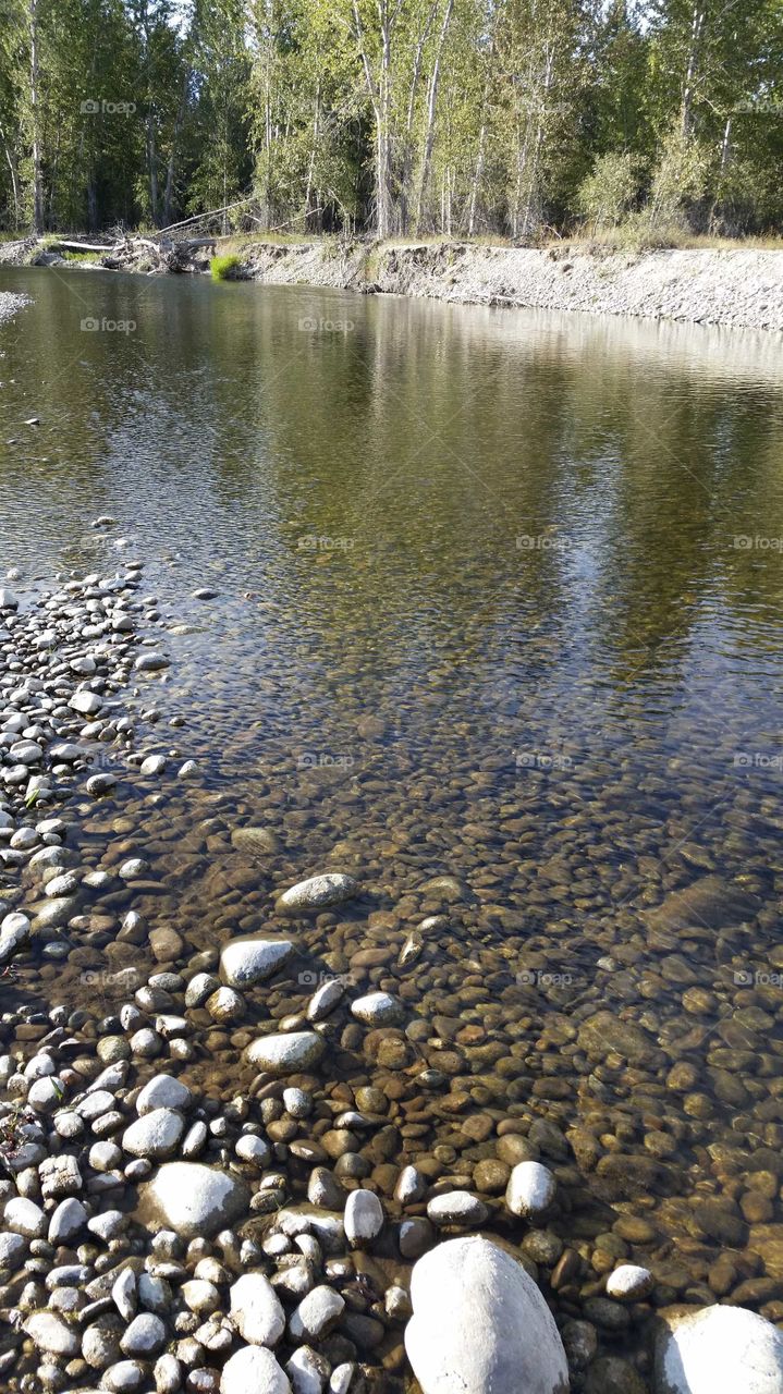 river rocks in the slow current,  peaceful day and sunny, reflections, quiet time