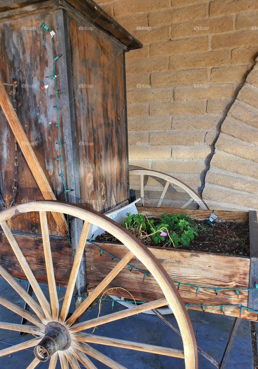 Flower Bed in Old Wagon