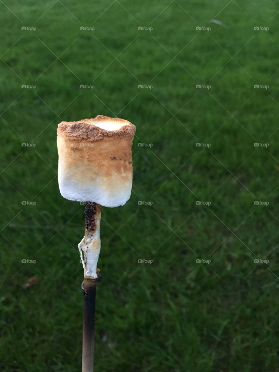 Perfect golden marshmallows 