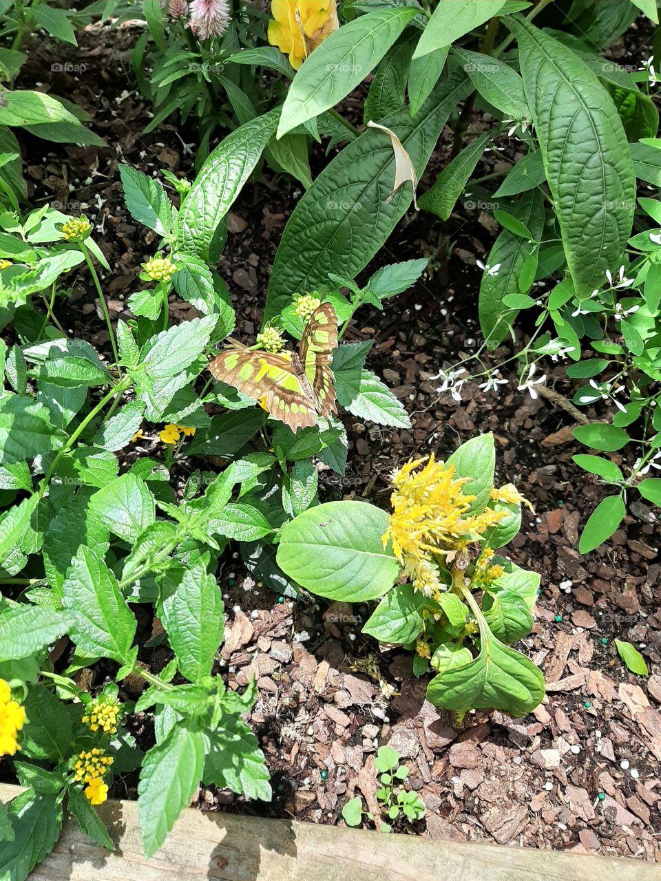 Matching. Malachite.