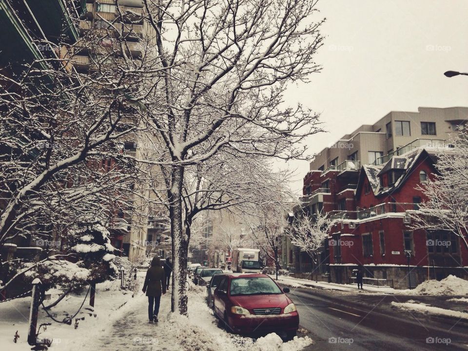 Winter in Montreal