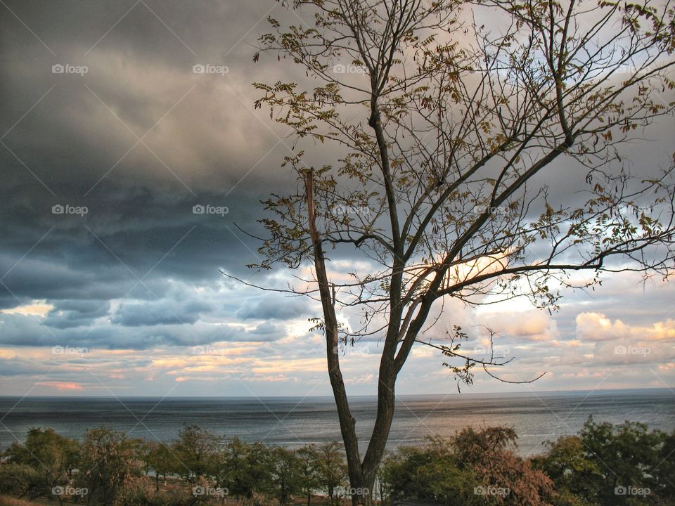 landscape nature clouds sea trees  пейзаж природа облака море деревья