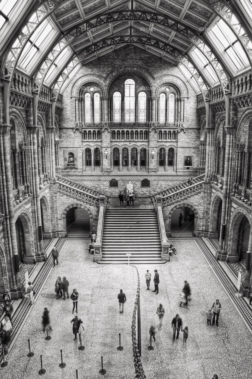 Natural History Museum. A black and white image of that famous view inside the Natural history Museum, London.