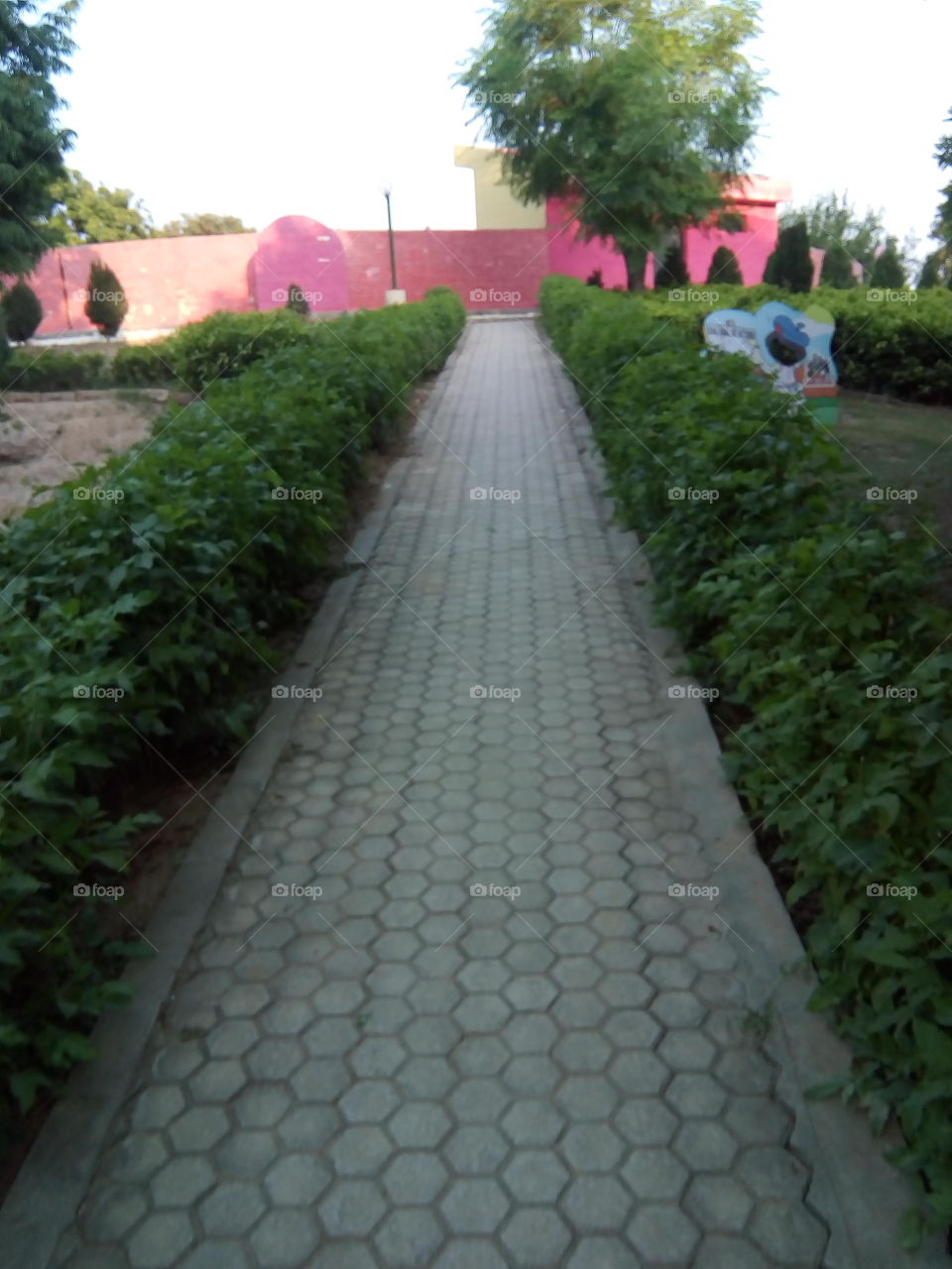 A beautiful sight of Rose Garden Situated at Bathinda City.