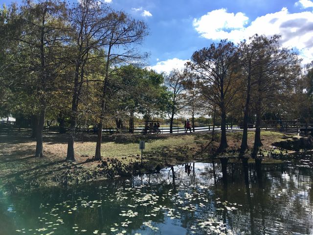 Leisure Walks