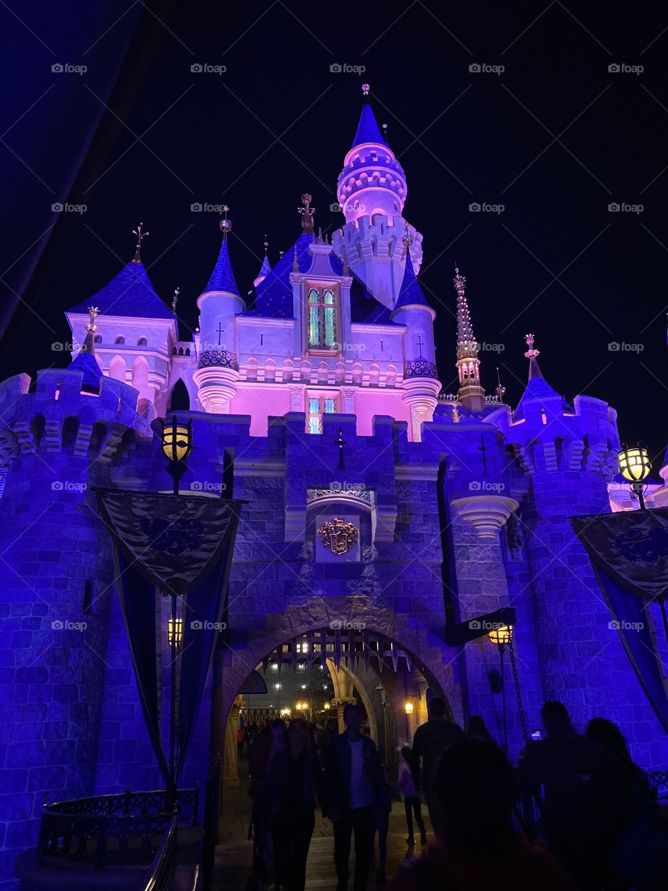 Disneyland castle during night 