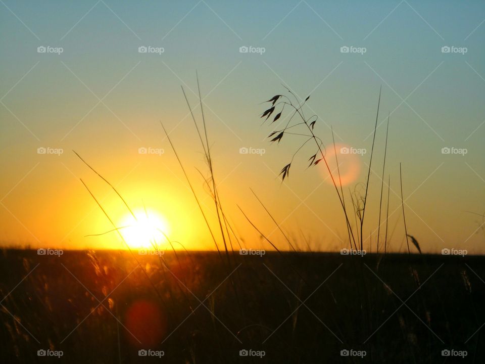 Sunset, Sun, Dawn, Silhouette, Landscape