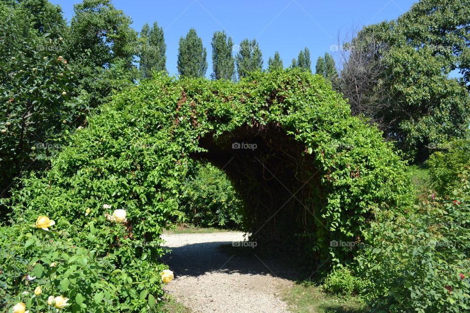 entrance in nature