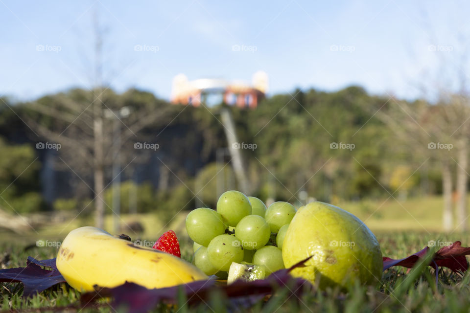 Unique Brazilian Fruits - Tangua park in Curitiba Parana Brazil.