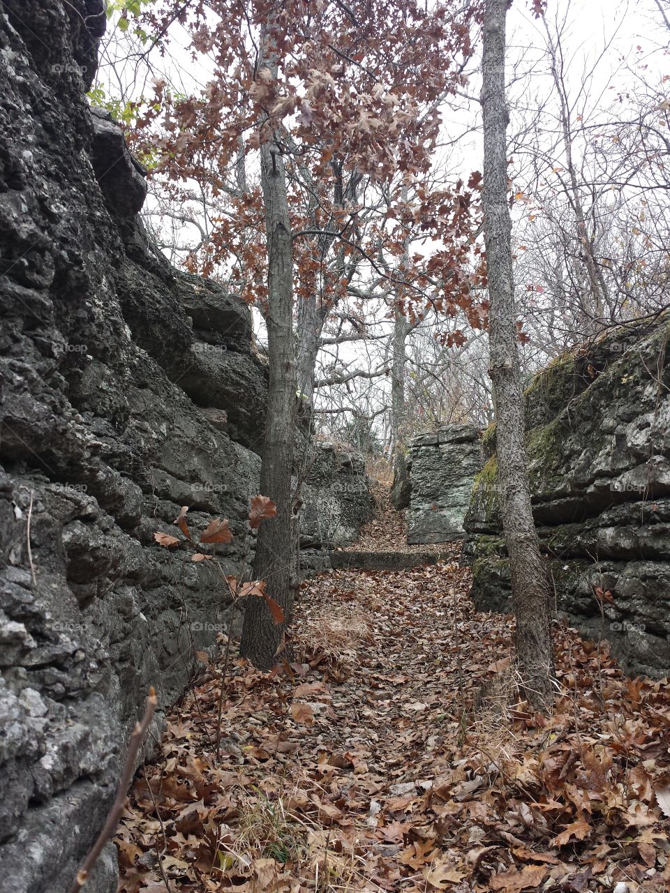 Monkey Mountain Views