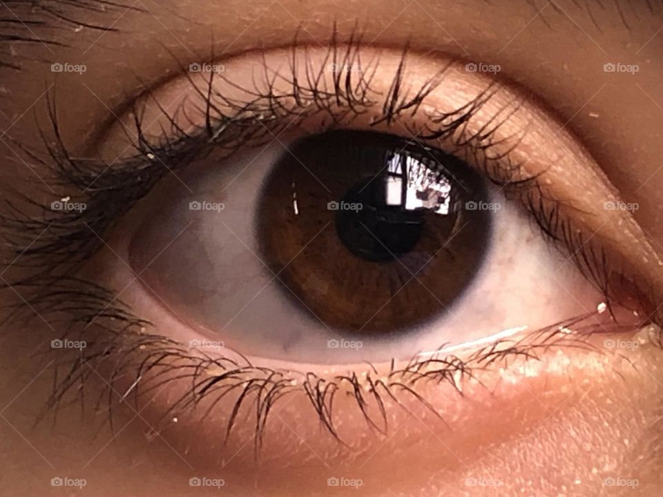 Beautiful human eye looking at camera