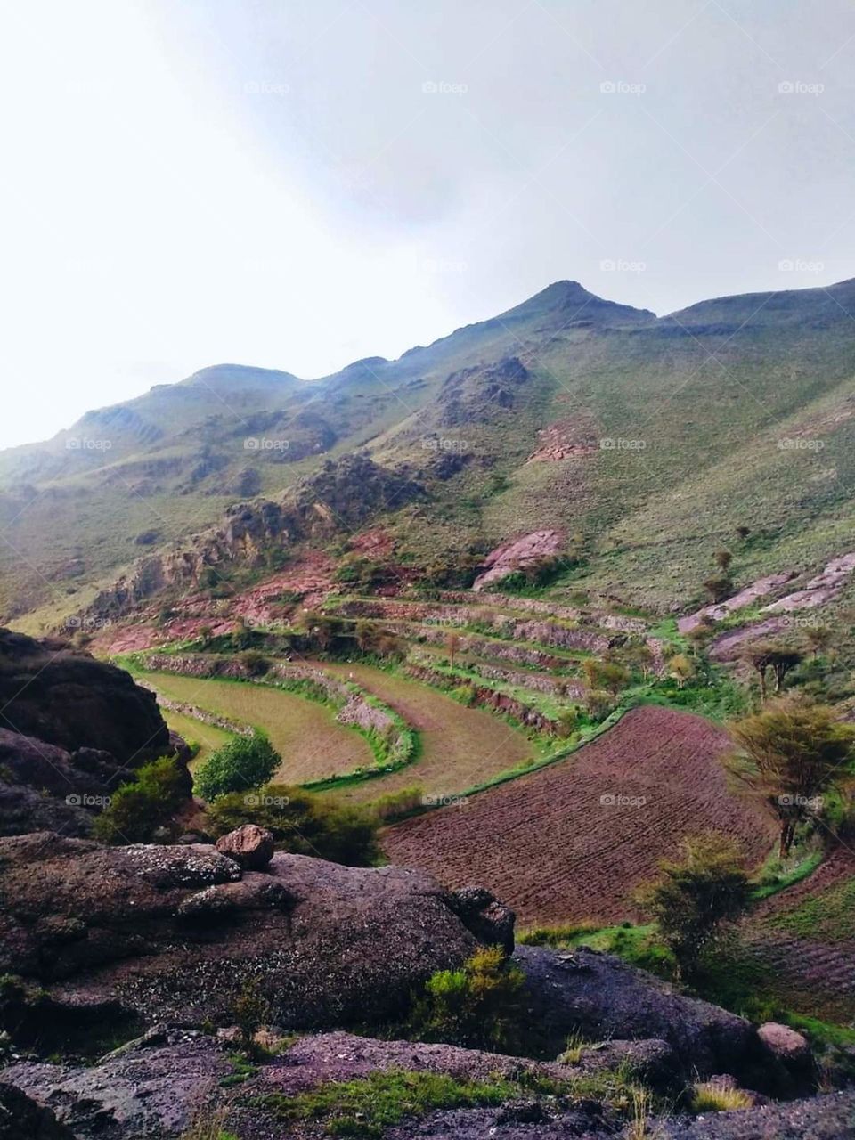 Glory be to God, the magnificent and picturesque view and the natural green trees are a view that is nothing more wonderful than it