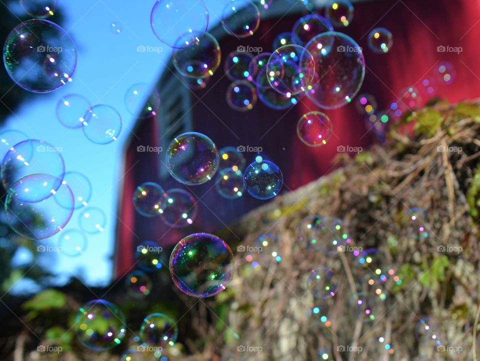 Bubbles 